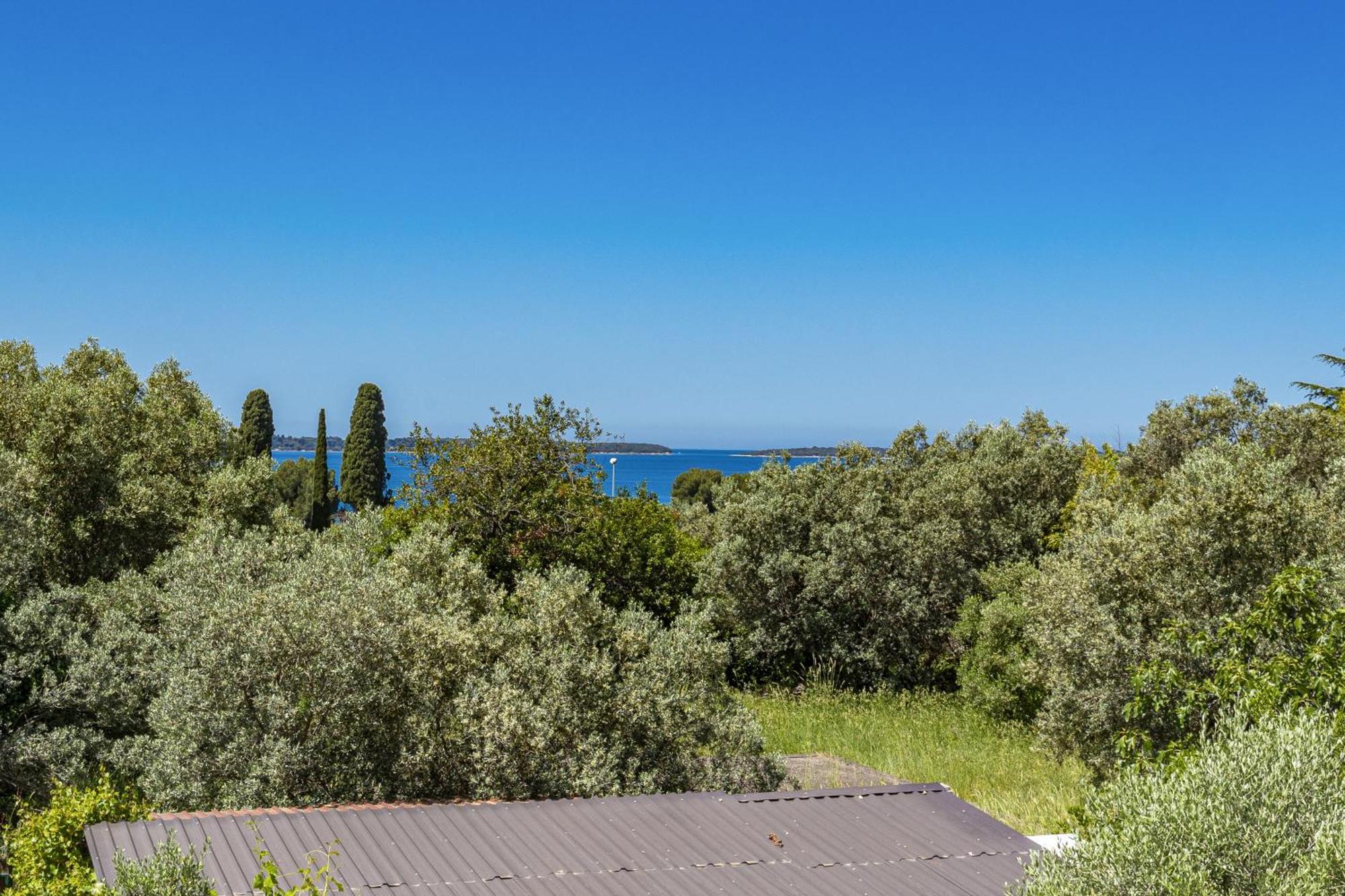 Apartment Nenad - Amazing Sea View ! Only 500 Meters From The Beach ! Fažana エクステリア 写真